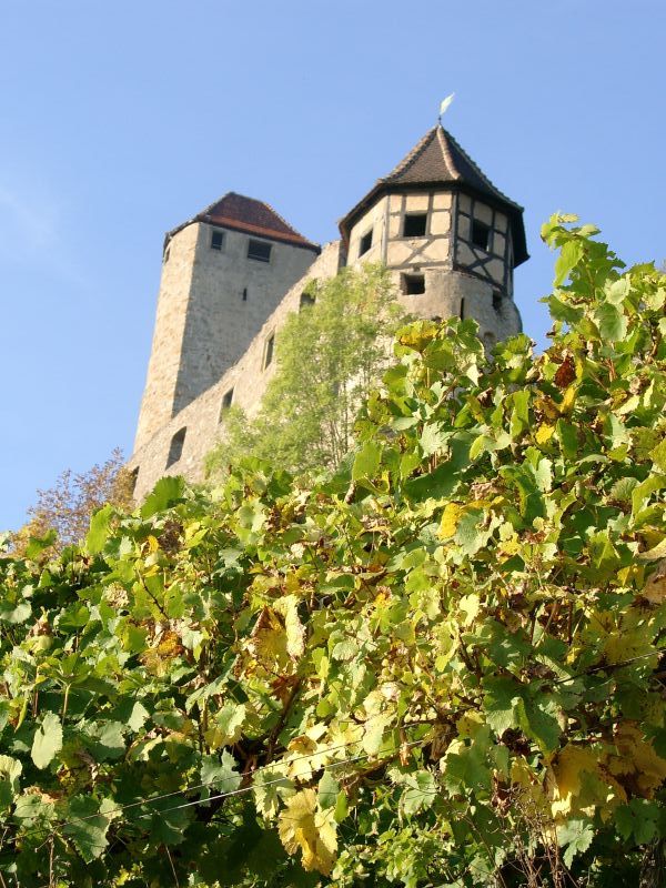 Burg Hornberg