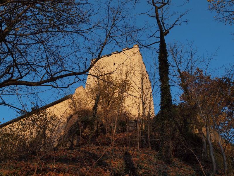 Burg Falkenstein