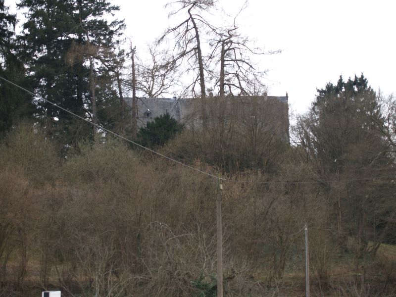 Neue Schloss