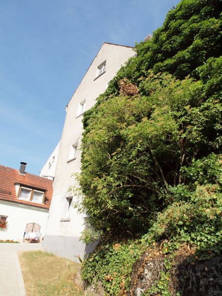 Schloss Knigstein