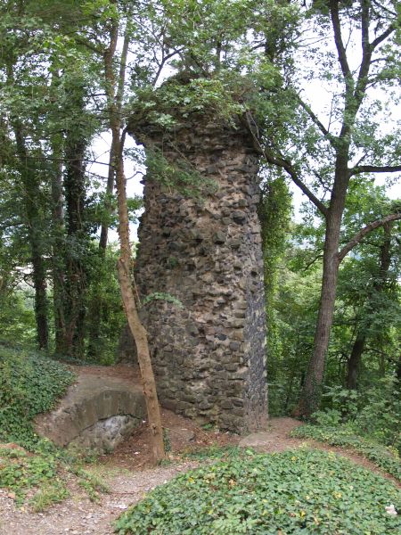 Burg Kalsmunt