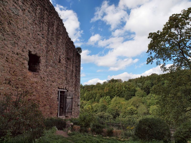Burg Tannenburg