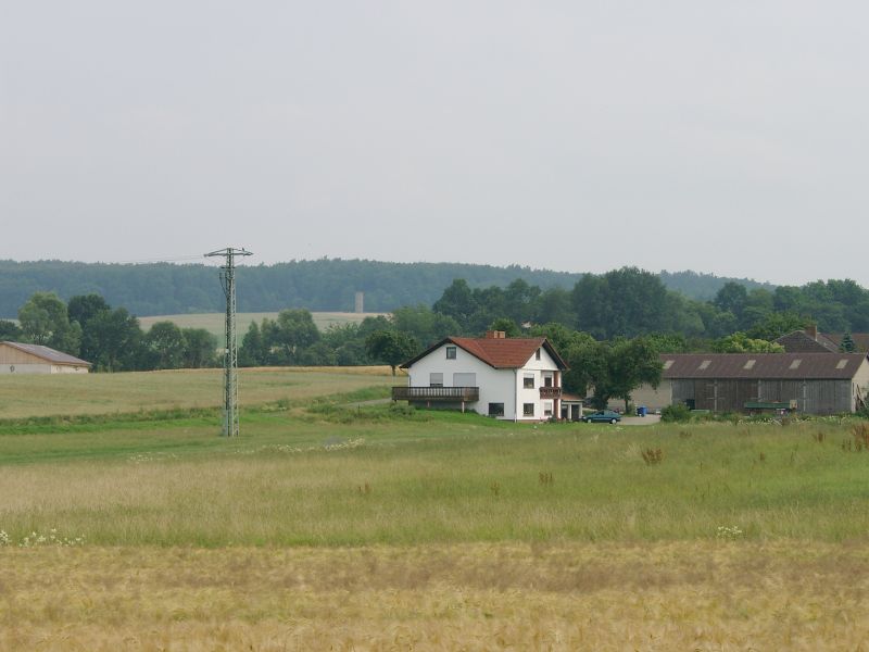 Spiess