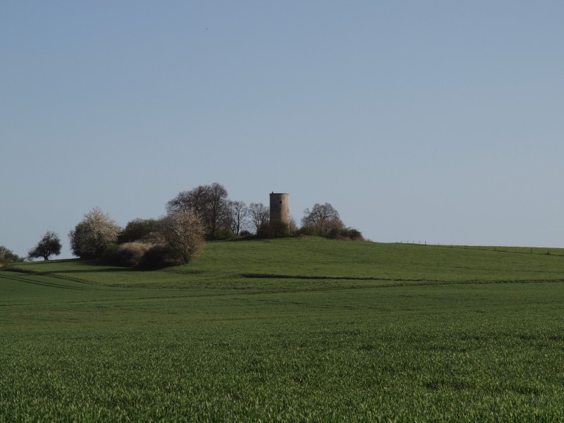 Wartturm Grünberg
