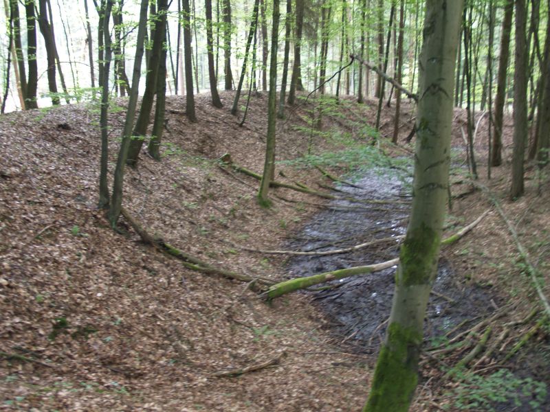Wstung Rderburg