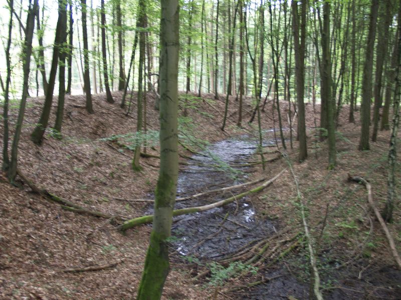 Wstung Rderburg