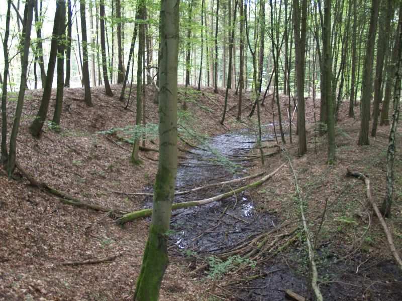 Wstung Rderburg