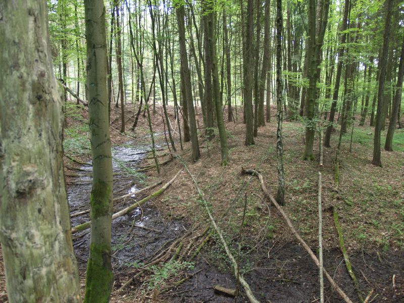 Wstung Rderburg