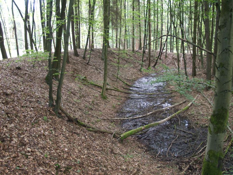 Wüstung Röderburg