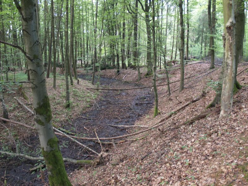 Wstung Rderburg