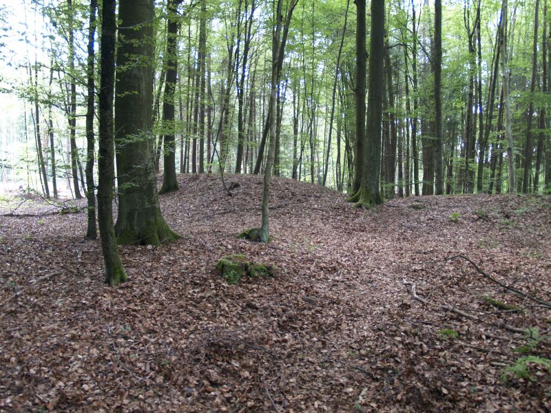 Wstung Rderburg