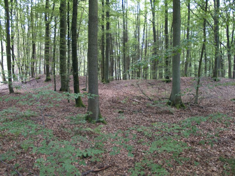 Wstung Rderburg