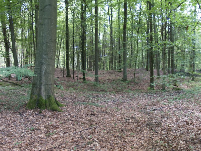 Wstung Rderburg