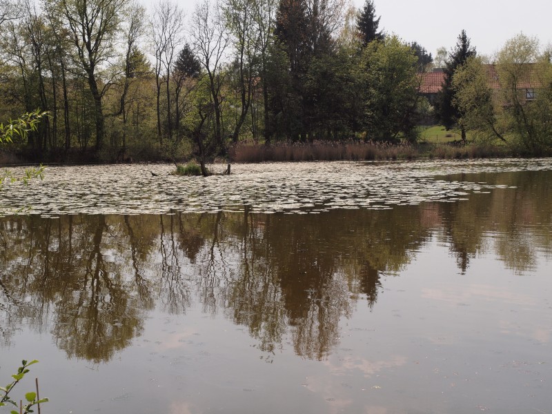 Rittergut Kirchberg