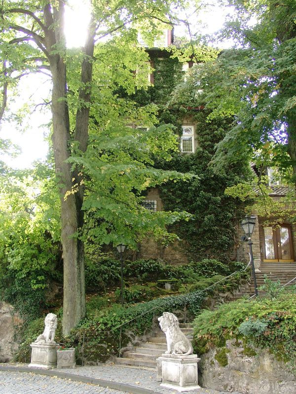 Schloss Arensburg