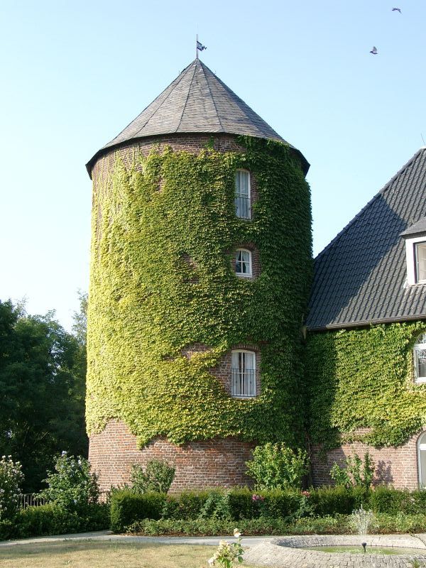 Burg Winnenthal