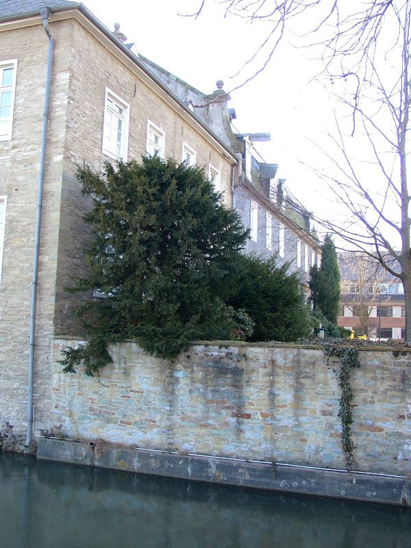 Haus Dsse