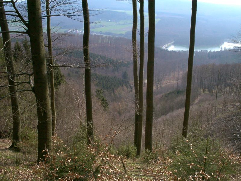 Herlingsburg