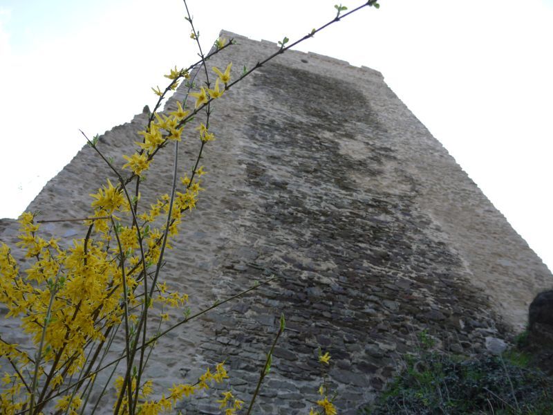 Burg Grenzau