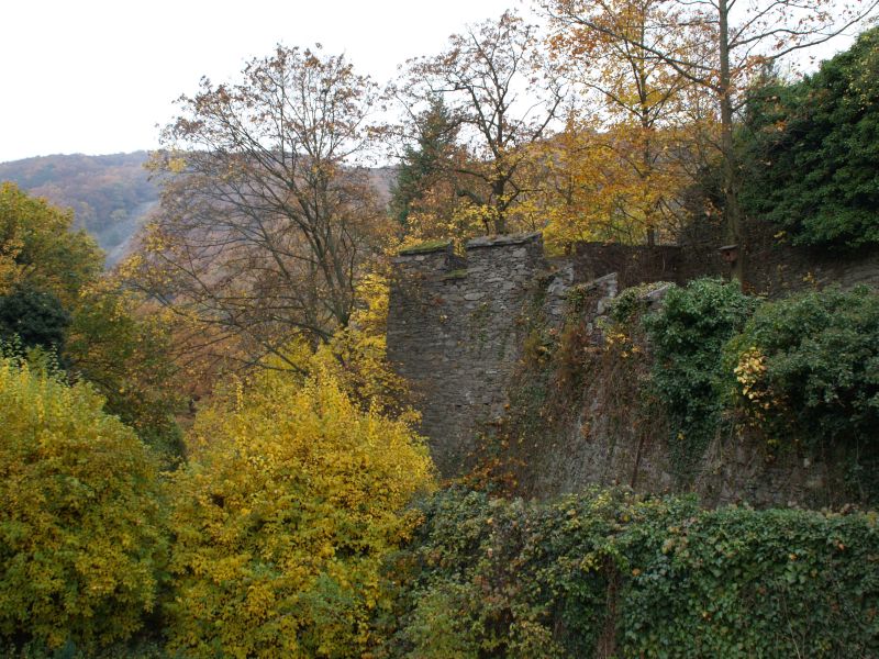 Burg Reichenstein