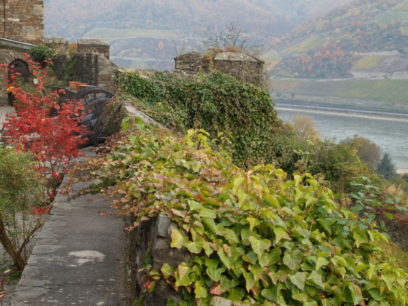 Burg Reichenstein