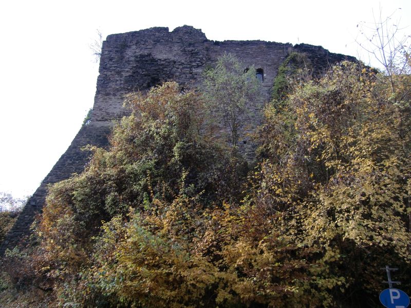 Burg Sayn