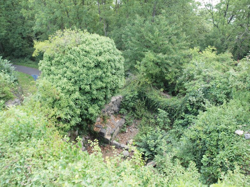 Burgruine Landskron