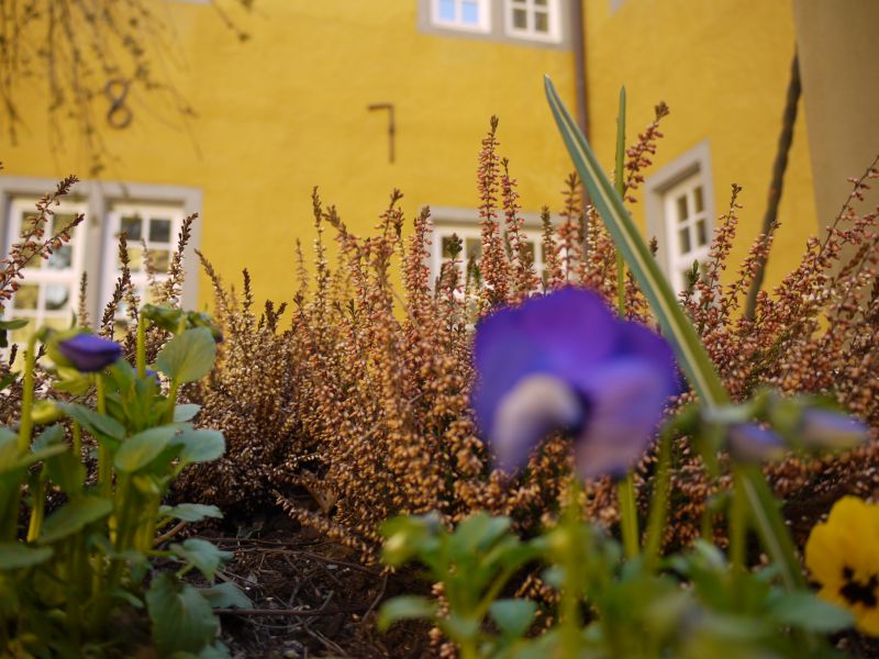 Schloss Montabaur
