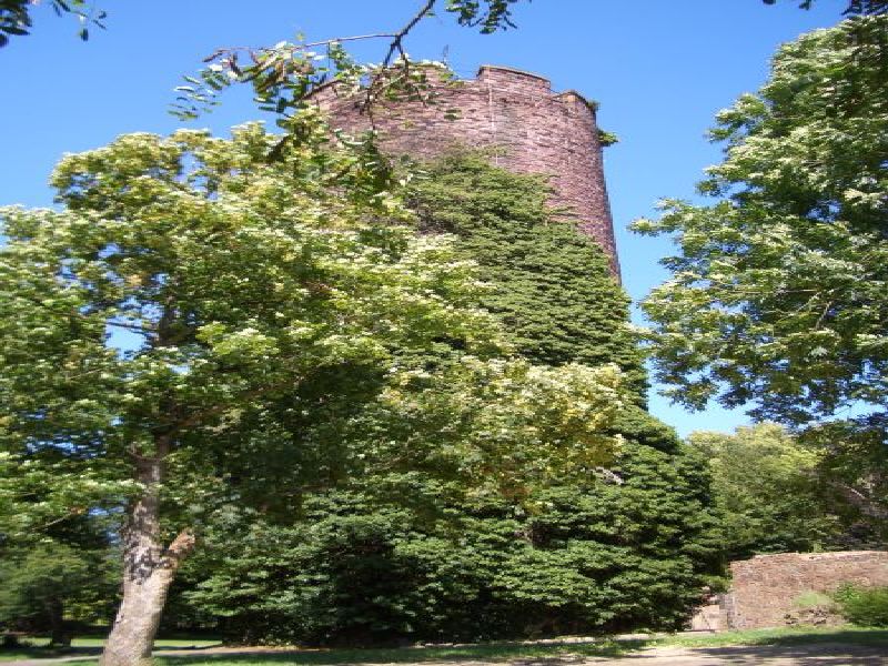 Vorschaubild Ansicht Burg Alvensleben (Titelfoto)