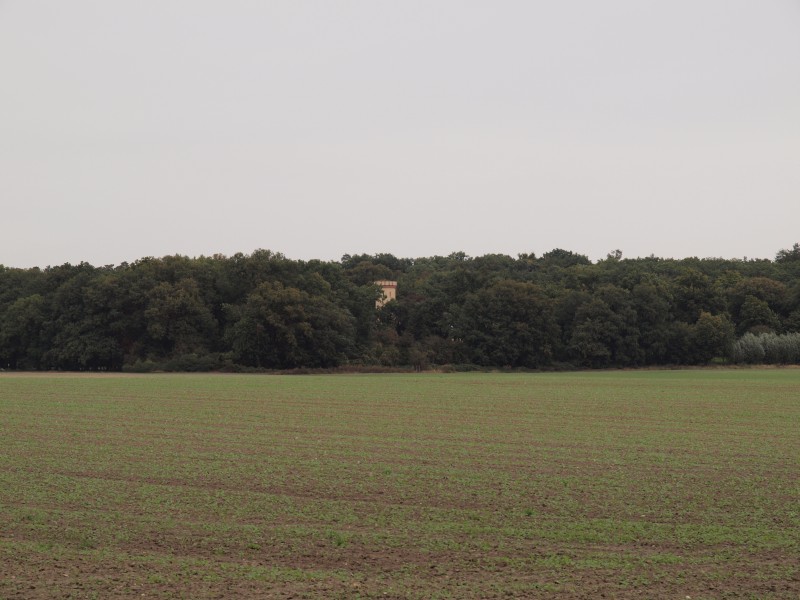 Vorschaubild Ansicht Schloss Detzel (Titelfoto)