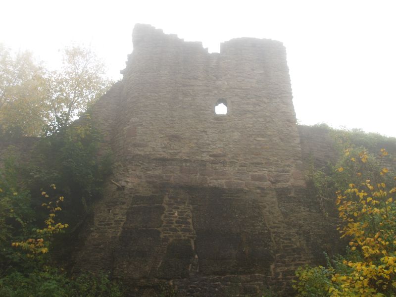 Burgruine Henneberg