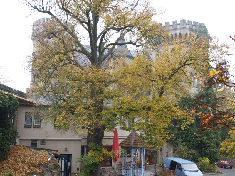 Schloss Landsberg