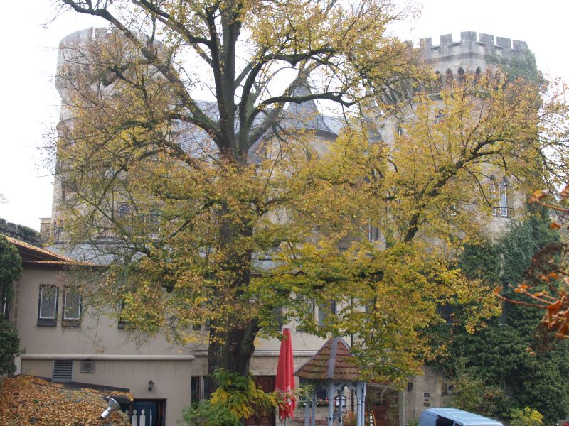 Schloss Landsberg